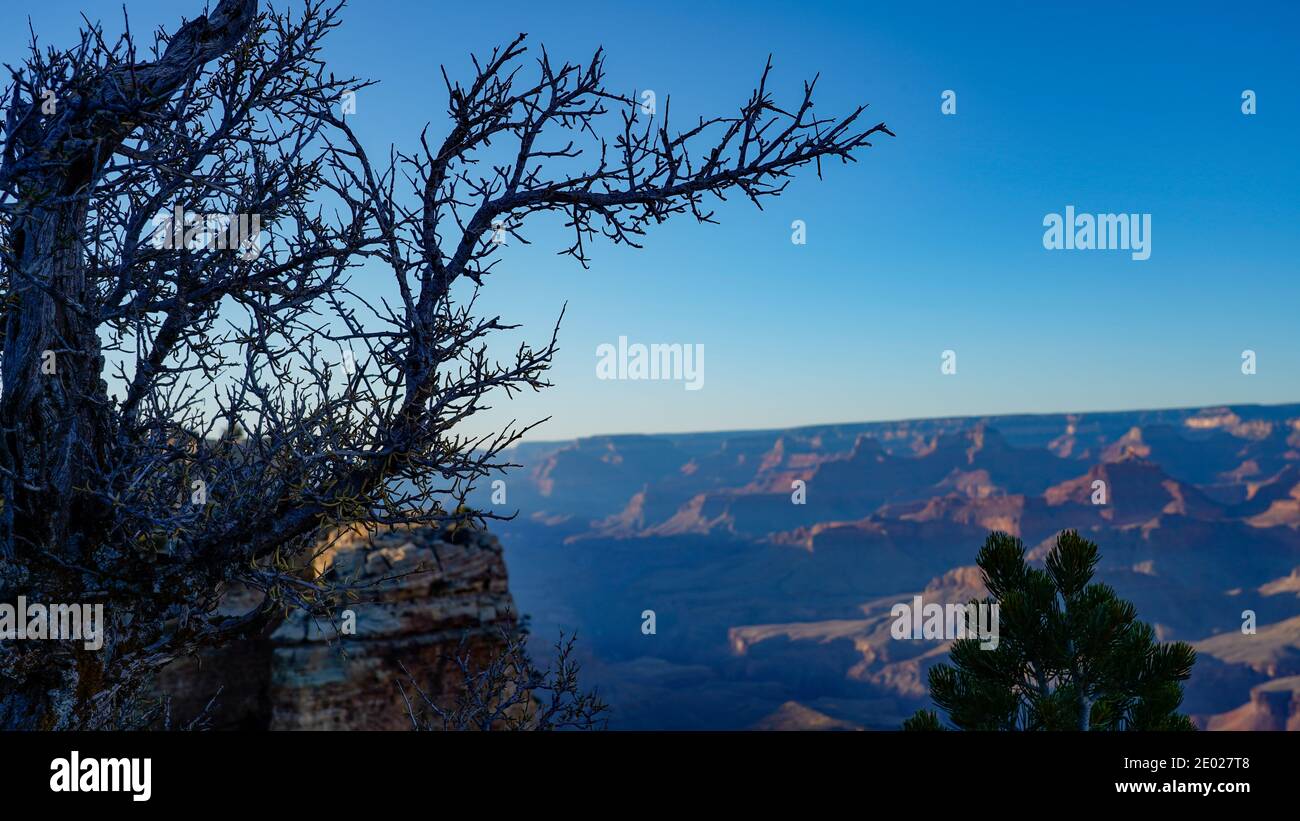 Grand-Canyon-Nationalpark Stockfoto