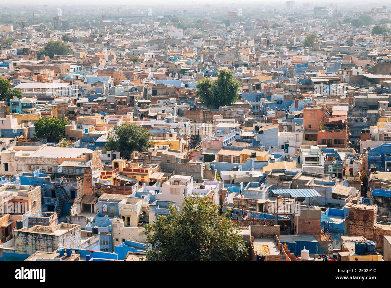 Panoramablick auf die blaue Stadt Jodhpur in Indien Stockfoto