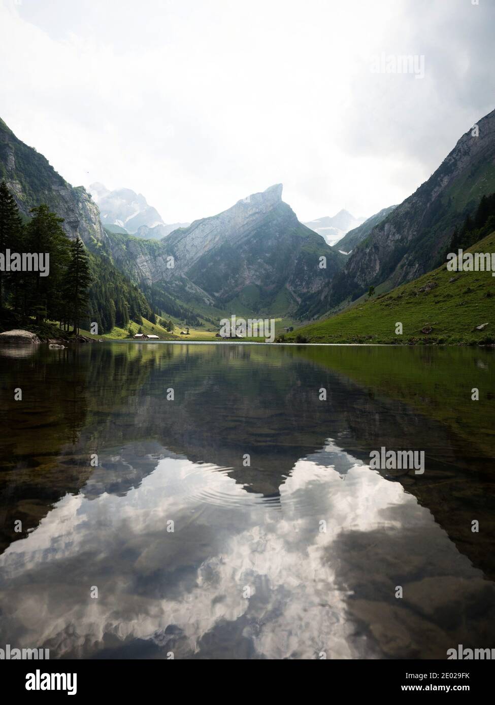 Spiegelung der Saentis-Bergkette im Alpensee Seealpsee in Alpstein Appenzell Innerrhoden Schweiz Stockfoto