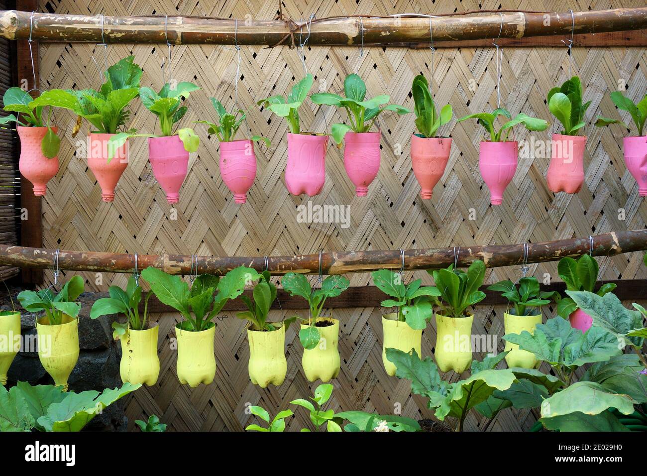 blumenkasten hngend bunt Blumenkasten Colorful  Industriestil