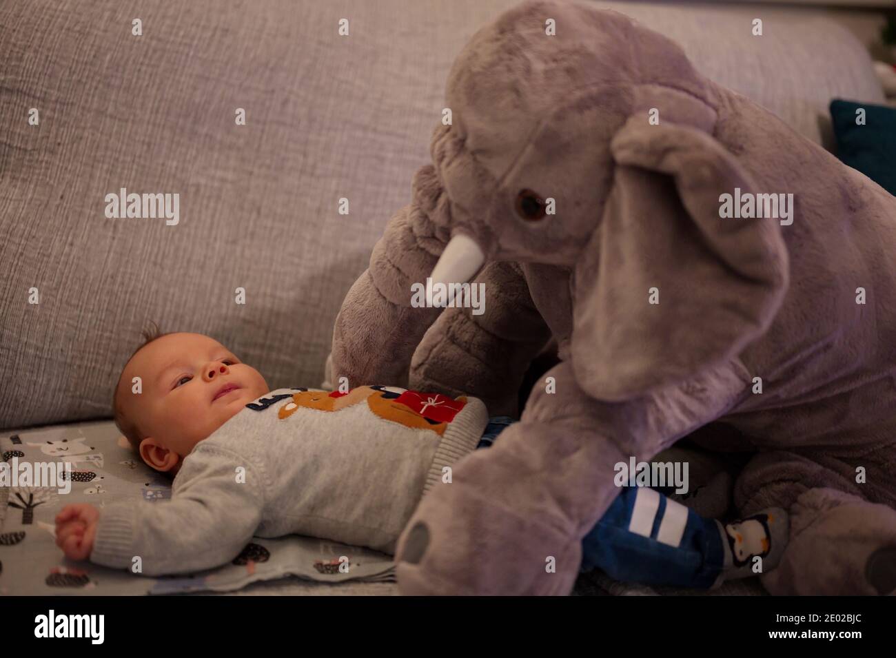 Portrait von neugeborenen Baby mit Stofftier Stockfoto