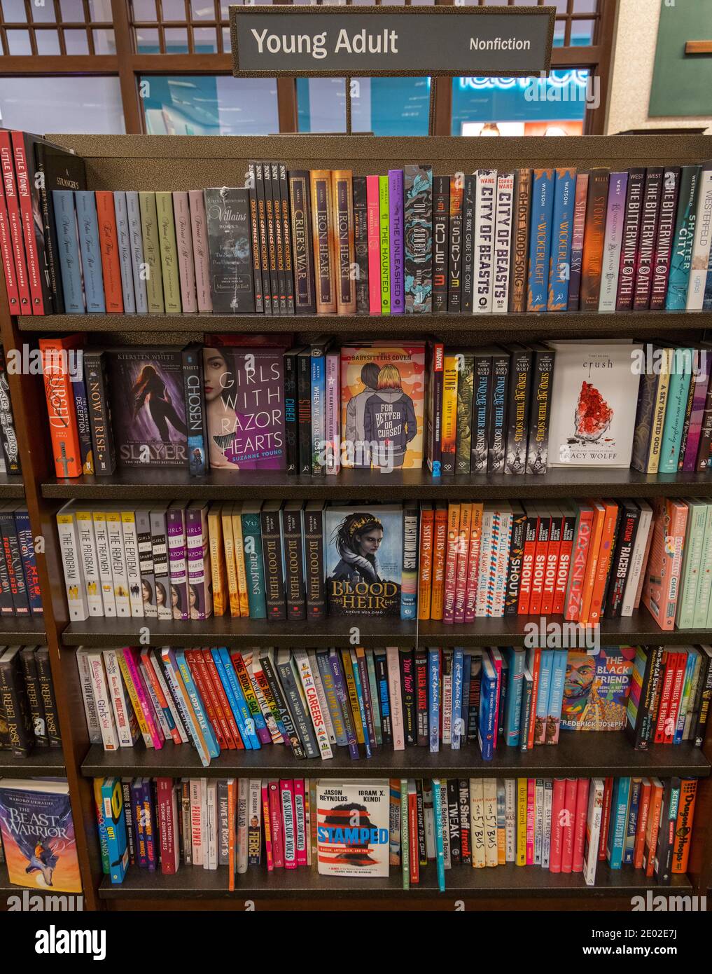 Bücher für junge Erwachsene in Regalen, Barnes and Noble, USA Stockfoto