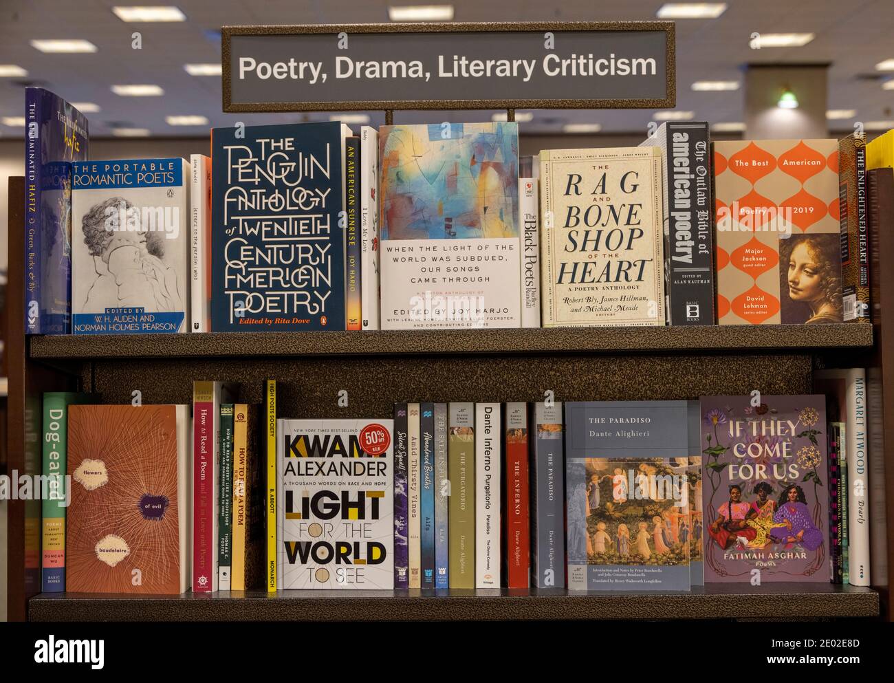 Bücher aus Poesie, Drama und Literaturkritik in Regalen, Barnes and Noble, USA Stockfoto