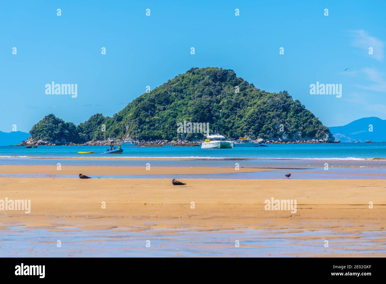 Tonga Insel im Abel Tasman Nationalpark in Neuseeland Stockfoto