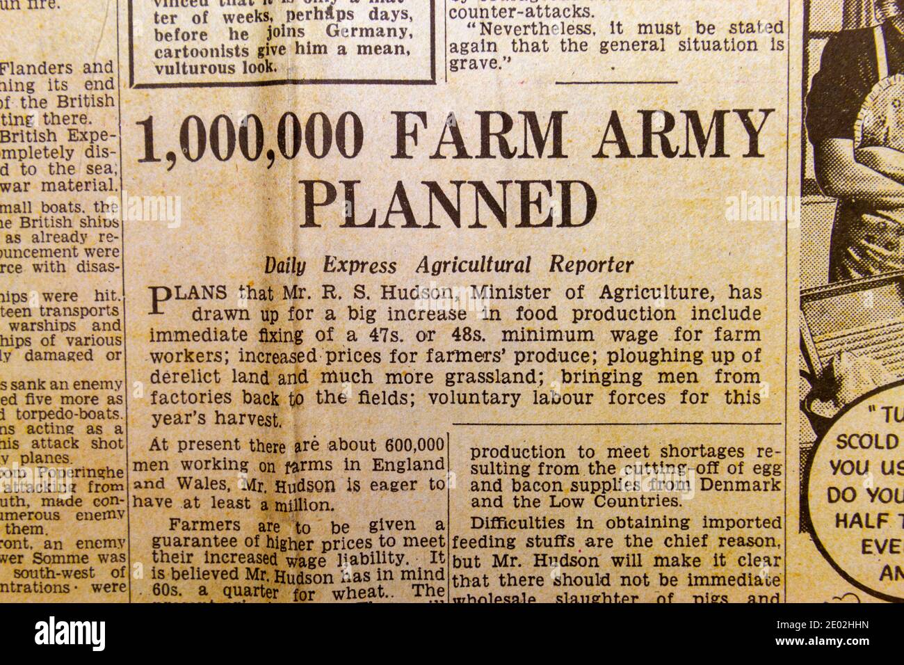 Geschichte über Pläne, eine Farm Armee in einem zu schaffen Replik der Tageszeitung Daily Express am 31. Mai 1940 Zeigt die Evakuierung von Dünkirchen Stockfoto