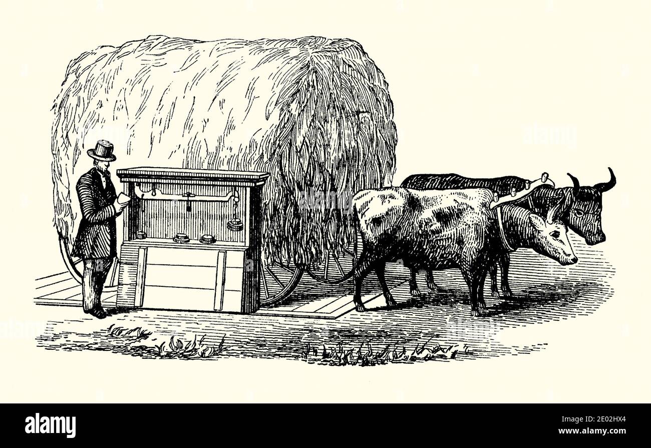 1800Er Erfindung Stockfotos Und -Bilder Kaufen - Alamy