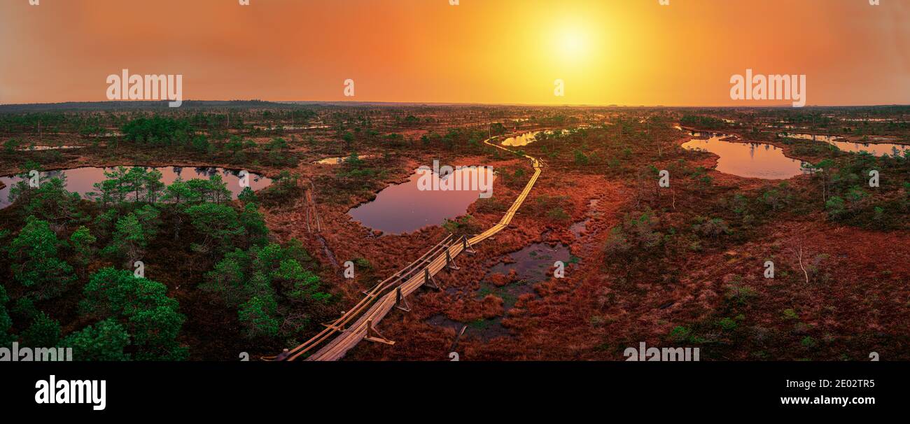 Sonnenuntergang über Moor mit Holzweg, kleinen Teichen und Pinien. Farbenprächtiger Sonnenuntergang über dem Sumpf. Stockfoto