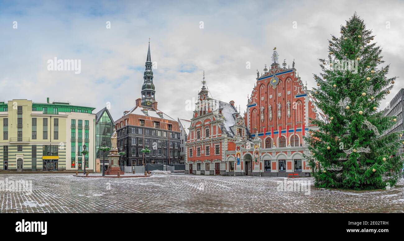 Rathausplatz mit Haus der Schwarzköpfe und Weihnachtsbaum im Winter, Altstadt Riga, Lettland Stockfoto