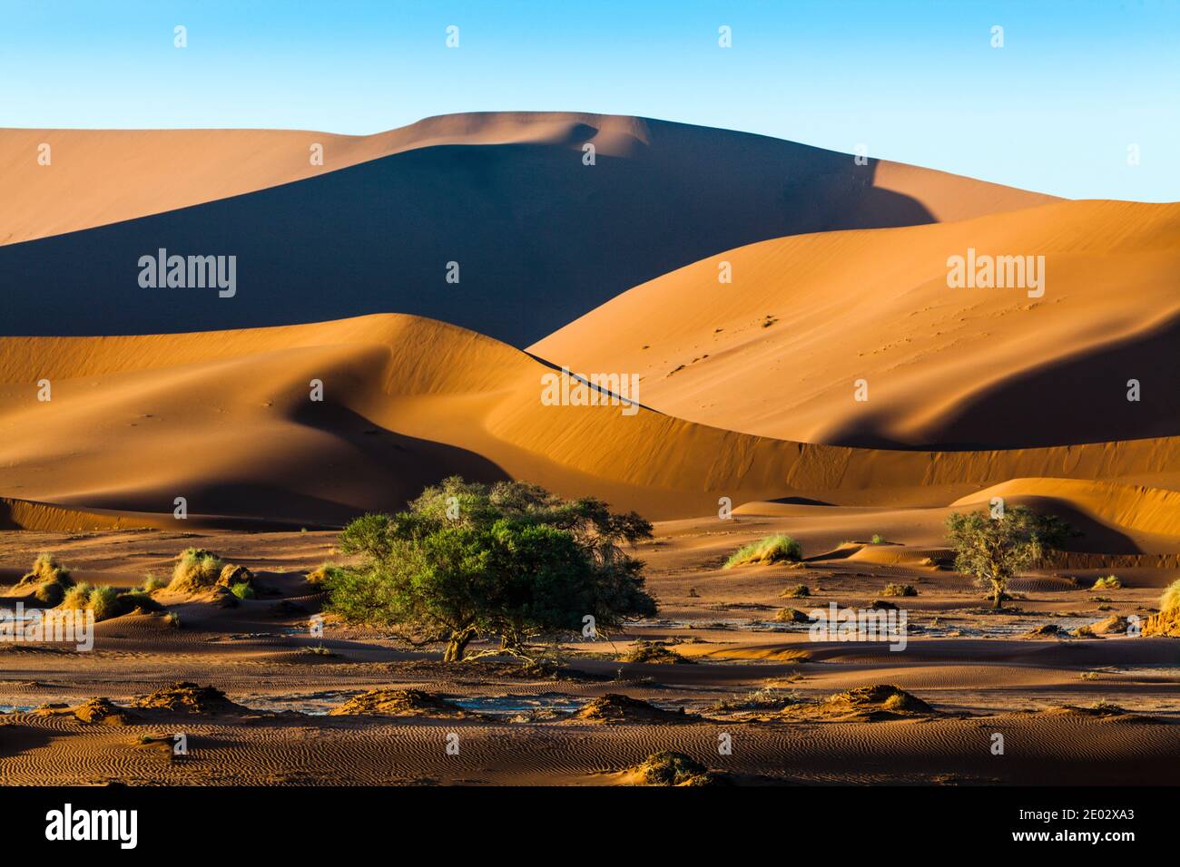 Dünen in Sossusvlei Area, Namib Naukluft Park, Namibia Stockfoto