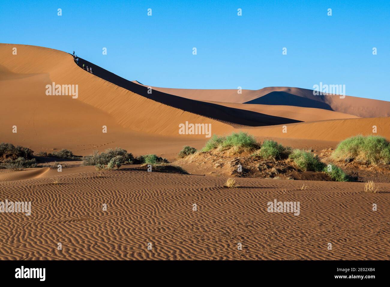 Touristen, die den Big Daddy Dune, den Namib Naukluft Park, in Namibia, wandern Stockfoto