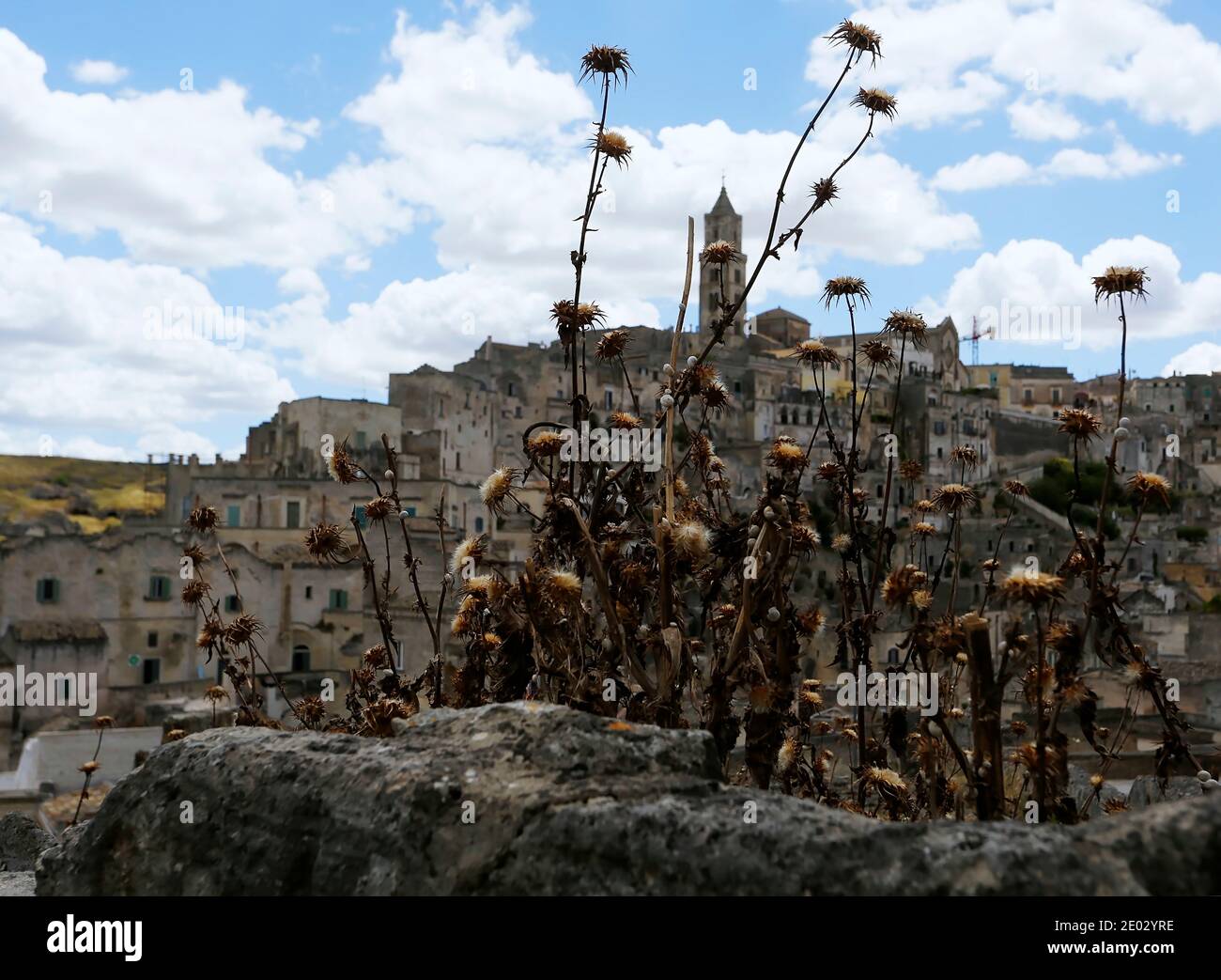 Dramatische poetische Ansicht der alten itaischen Stadt Matera und getrocknet Blumen vorne Stockfoto