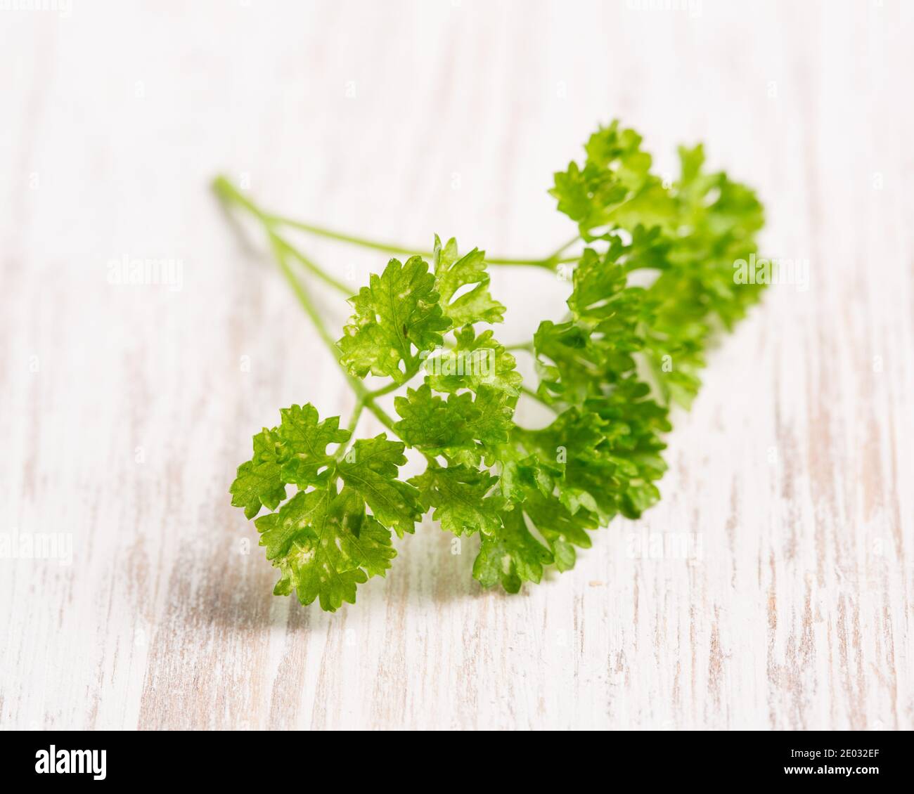 Petersilie (Petroselinum crispum) auf einem leichten Holzbrett Stockfoto