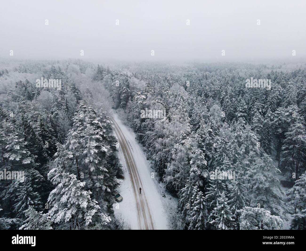 Fichtenwald oben Vögel aus der Vogelperspektive. Winterlandschaft von oben. Drohne Schuss von schneebedeckten Baum Stockfoto