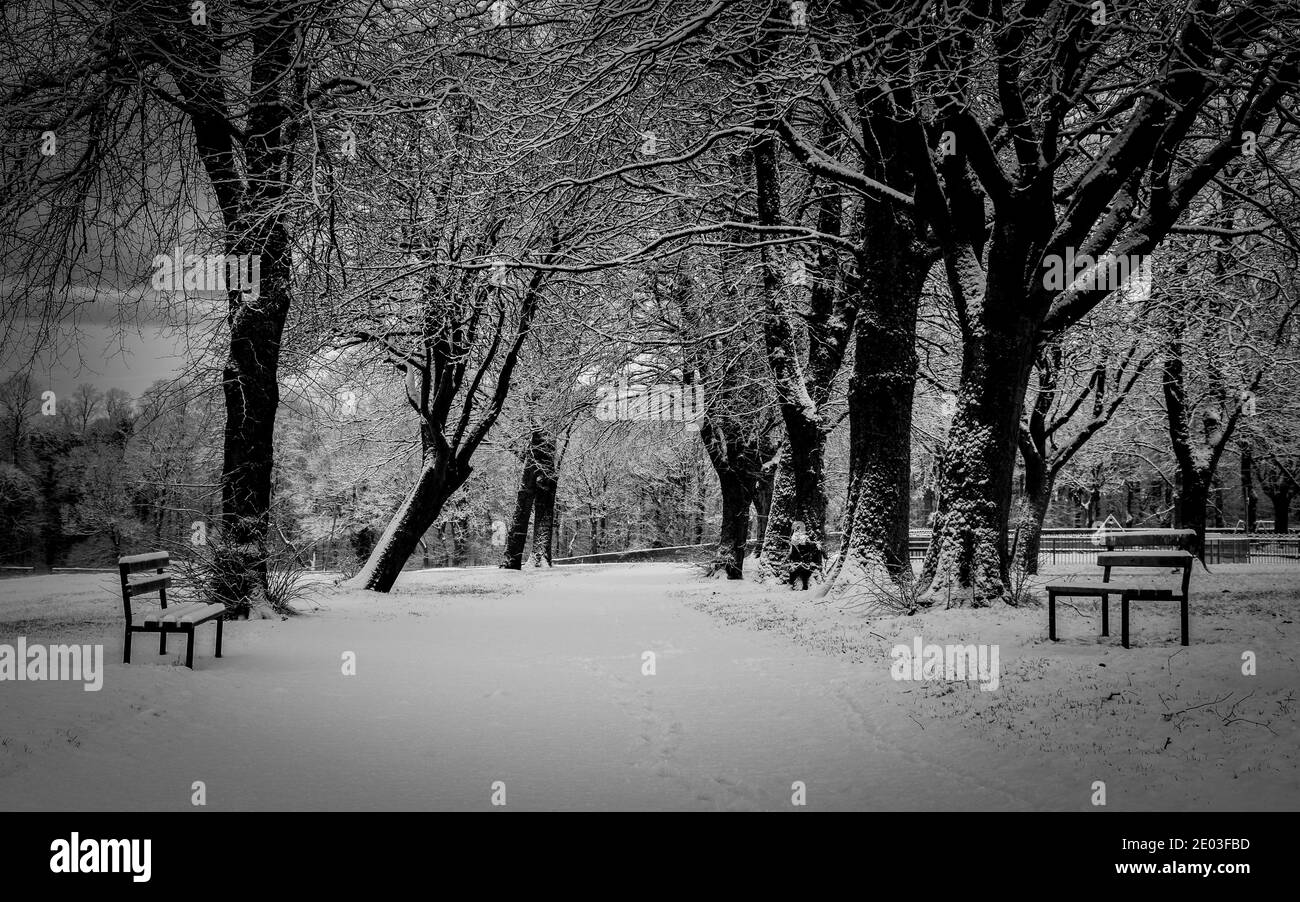 Bänke im Park, bedeckt mit Schneedecke. Stockfoto Bänke im Park, bedeckt mit Schneedecke. Stockfoto