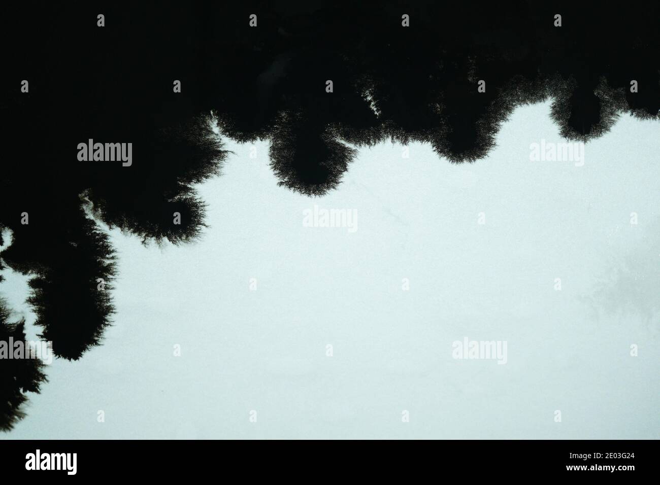 Aquarell. Abstrakte gemalte Tintenstriche auf Papier gesetzt. Schwarzer Tintentropfen, der sich wie ein Virus ausbreitet Stockfoto