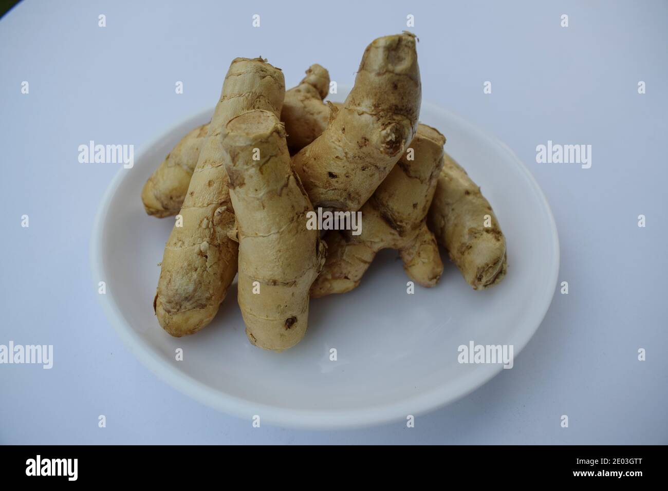 Nahaufnahme von weißen rohen Kurkuma longa, safed haldi frischen Rhizomen in weißem Teller mit weißem Hintergrund. Indische reife rohe Gewürzkräuter mit Kräuter Stockfoto