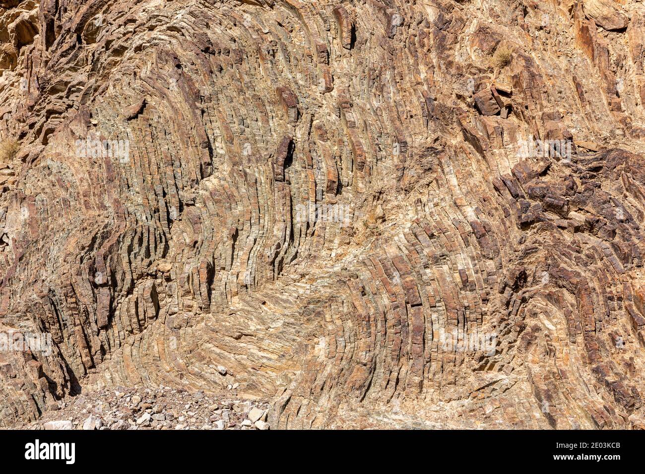 Kalkstein und Dolomit Gesteinsstruktur mit Schichten aus der Nähe, Hajar Mountains, Vereinigte Arabische Emirate. Stockfoto