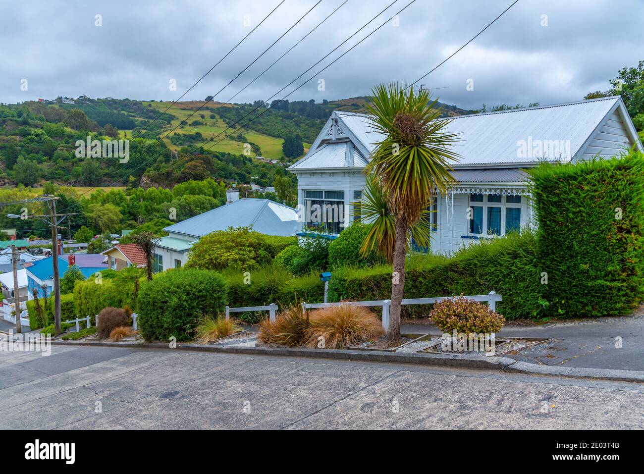 Baldwin Street - die steilste Straße der Welt, in Dunedin, Neuseeland Stockfoto
