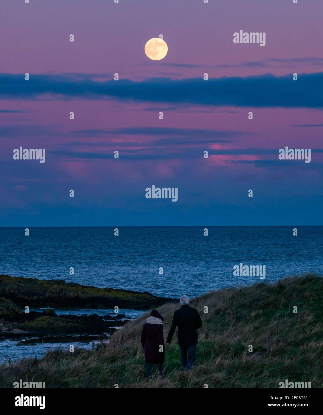 East Lothian, Schottland, Großbritannien, 29. Dezember 2020. UK Wetter: Ein letzter Vollmond für 2020, genannt der "Kalte Mond", steigt über den Firth of Forth bei Sonnenuntergang mit einem bunten rosa und lila Himmel als ein paar Spaziergang entlang der Küste Weg in der Dämmerung Stockfoto