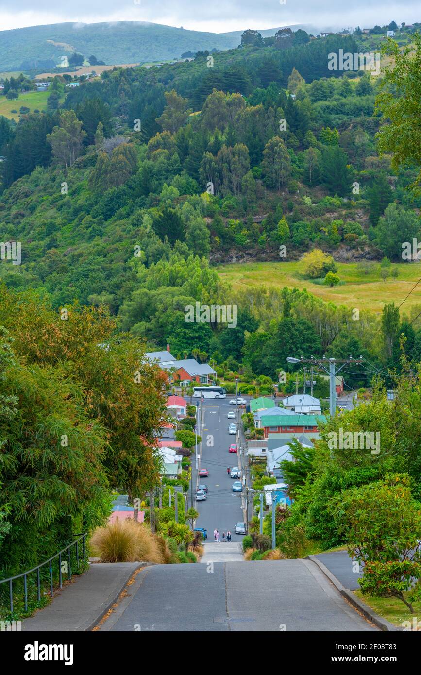 Baldwin Street - die steilste Straße der Welt, in Dunedin, Neuseeland Stockfoto