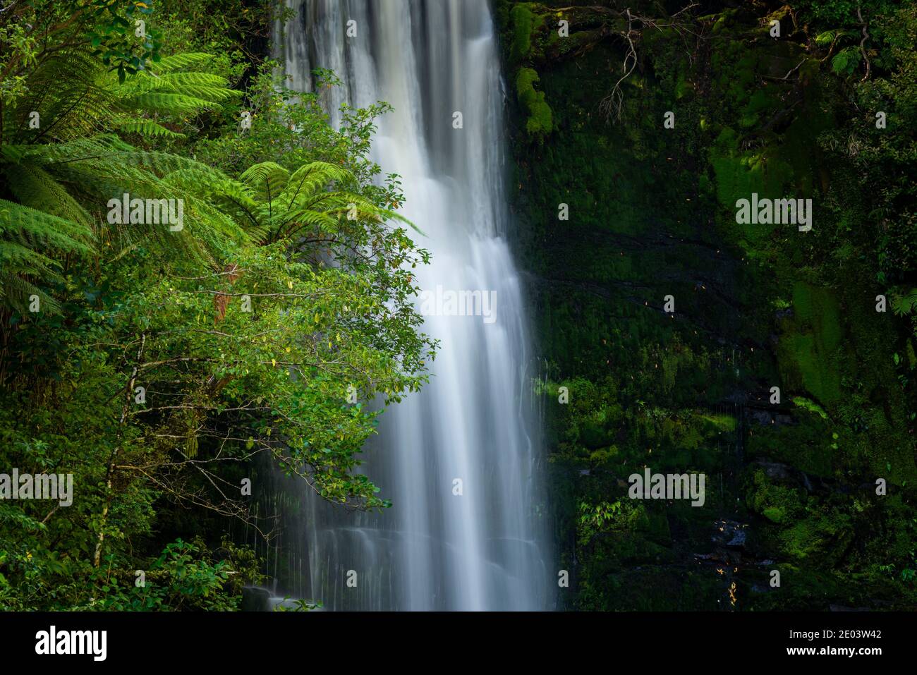 Detail der Upper McLean Falls im Catlins Forest Park, The Catlins, Otago Region, South Island, Neuseeland Stockfoto