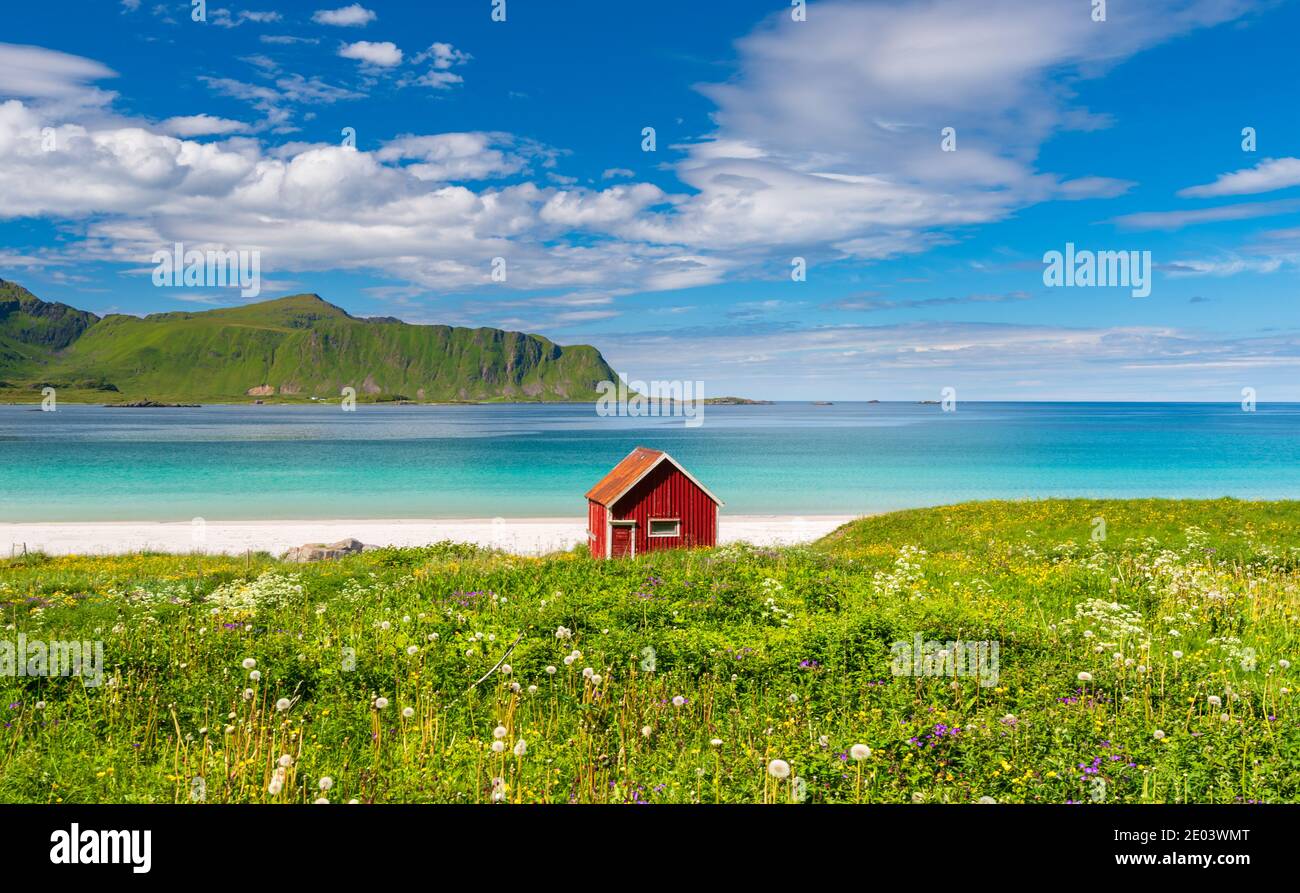 Rote Hütte am Strand mit grüner Wiese und blau Himmel mit weißen Wolken an einem Sommertag in Lofoten Norwegen Stockfoto