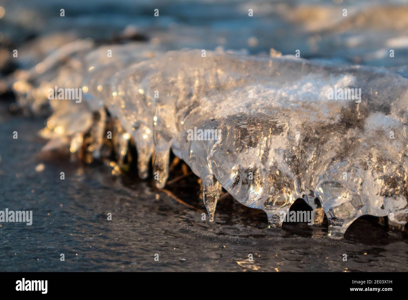 Transparent glänzend klar Eis Eiszapfen close-up funkelt auf gefrorenen wilden See Oberfläche in Sonnenuntergang Licht. Kalter Winter Natur Hintergrund Stockfoto