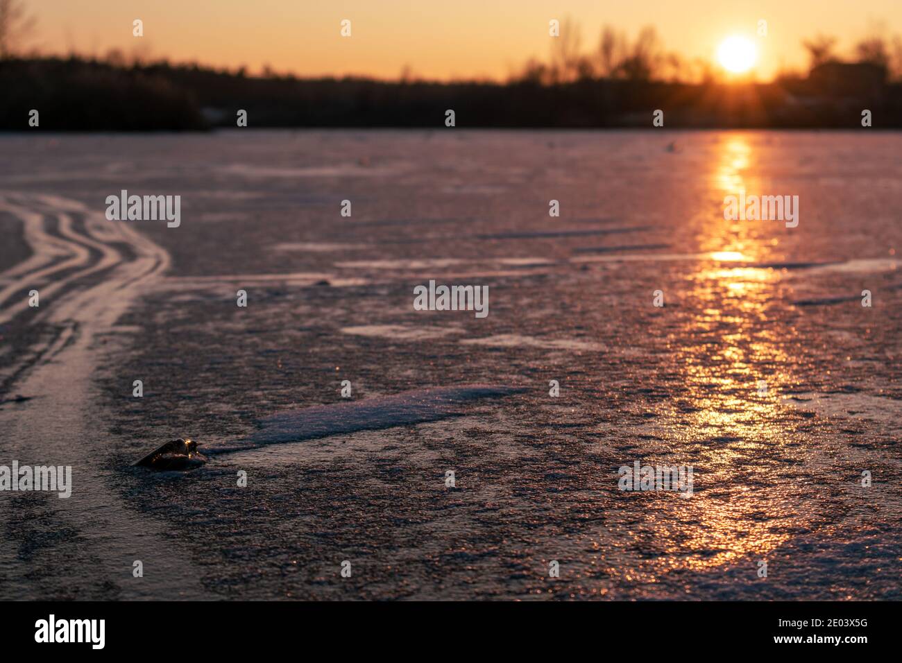 Orange lebhafter Sonnenuntergang auf eisig gefrorenen reflektierenden See-Oberfläche Nahaufnahme mit dunklen Bäumen Silhouetten, lange Schatten und klaren Himmel Stockfoto