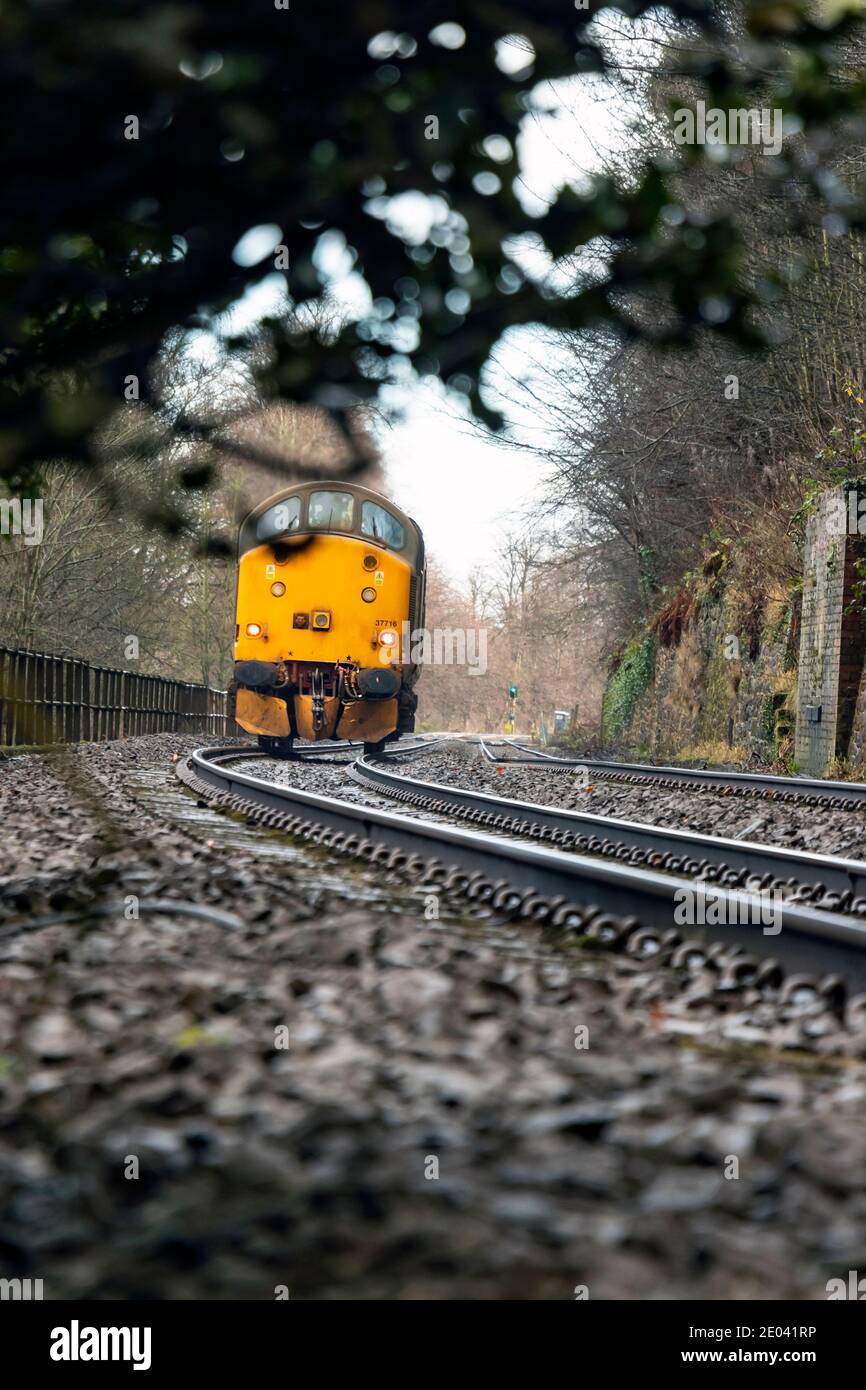 Englisch Electric Type 3 British Rail Class 37 Diesel Lok Nummer 37716 auf Eisenbahnschienen am Fluss Tyne In der Nähe von Hexham Northumberland Stockfoto