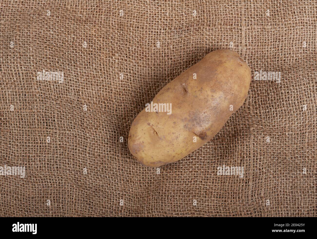 Idaho Russet Kartoffel (Solanum tuberosum) Stockfoto