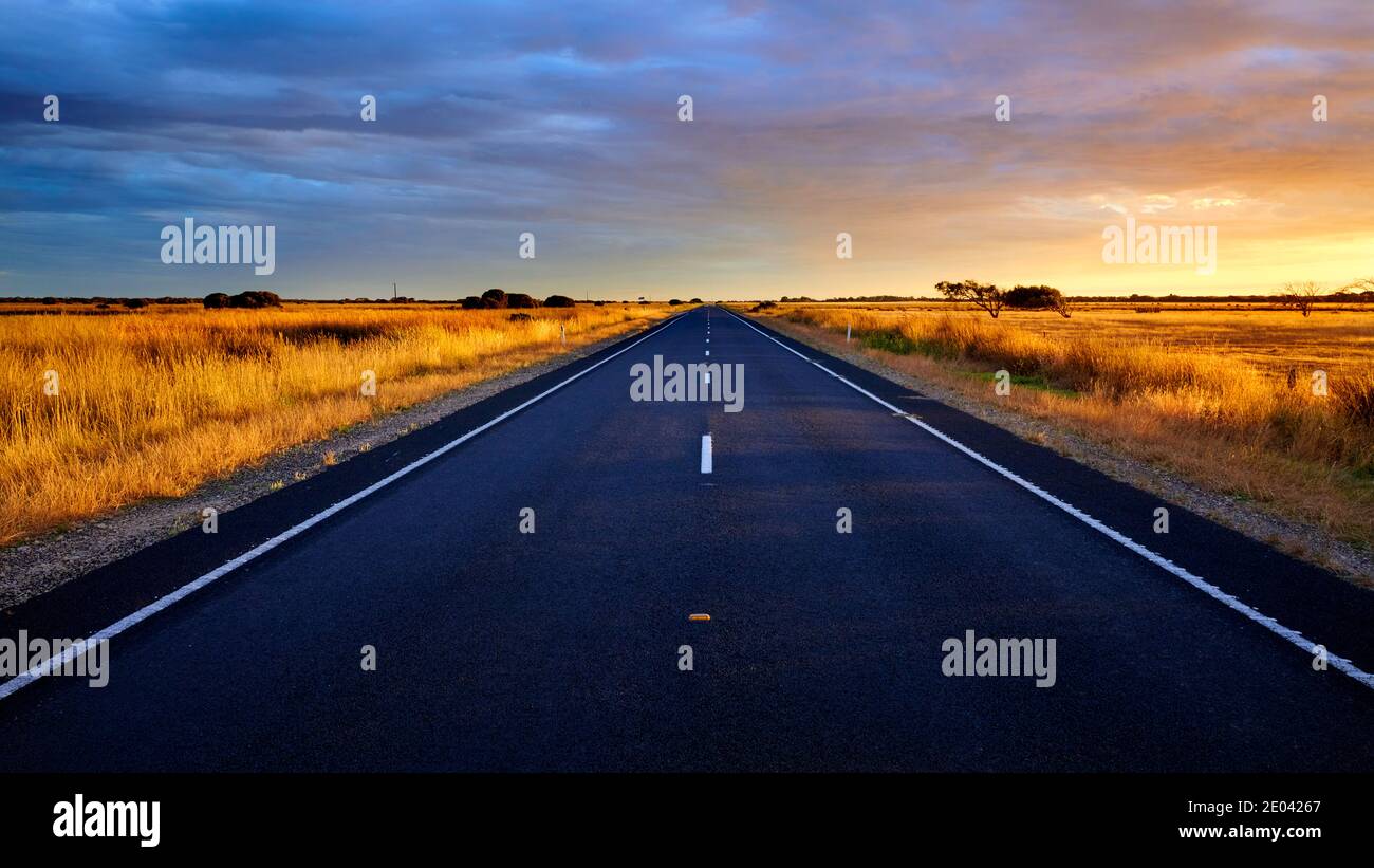 Eine lange gerade Autobahn im Südosten Südaustraliens im Frühsommer, da das Winitres Gras austrocknet und im späten Nachmittagslicht golden wird. Stockfoto