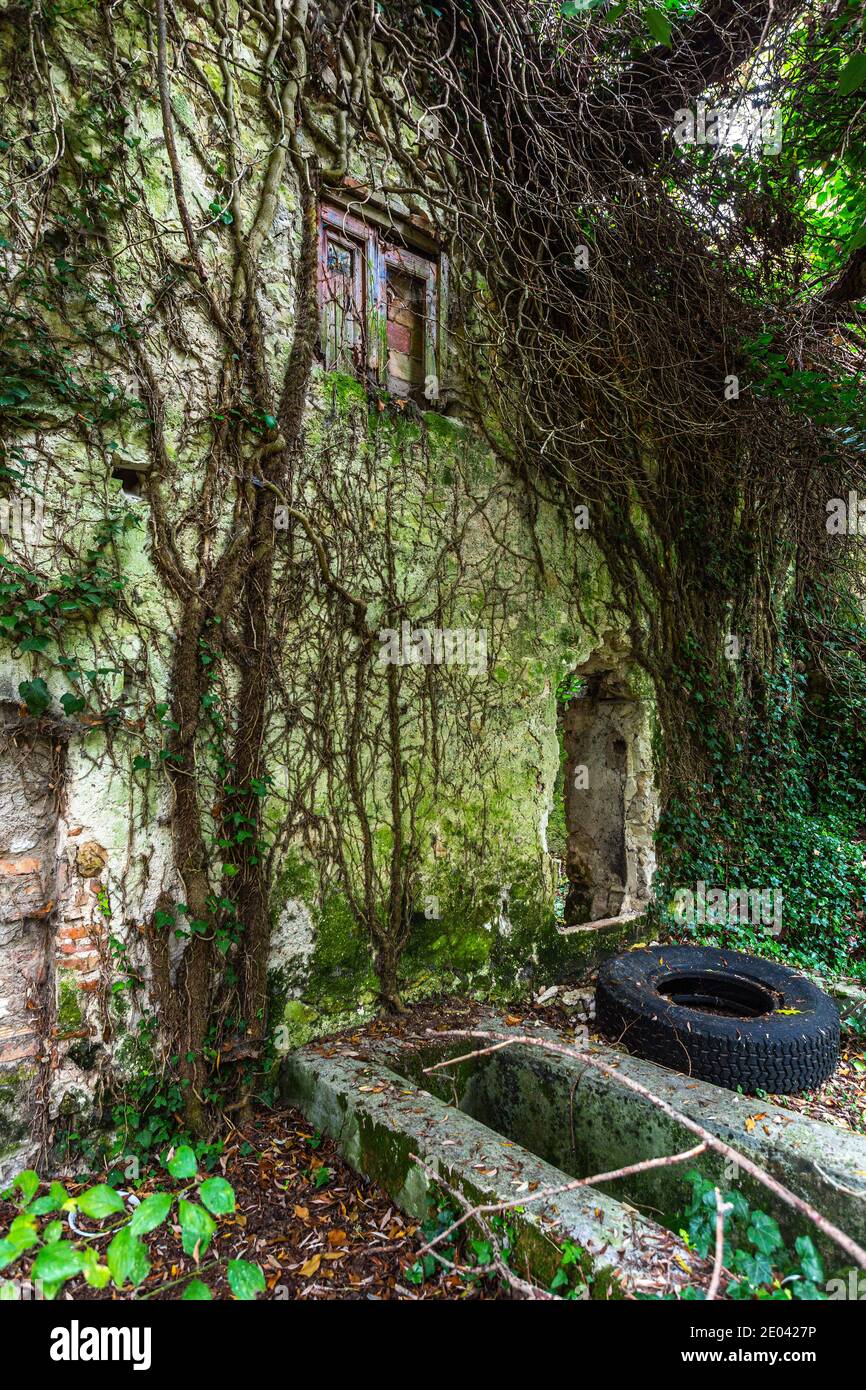 Ruinen der alten Häuser eines alten Dorfes verloren in Der Wald Stockfoto