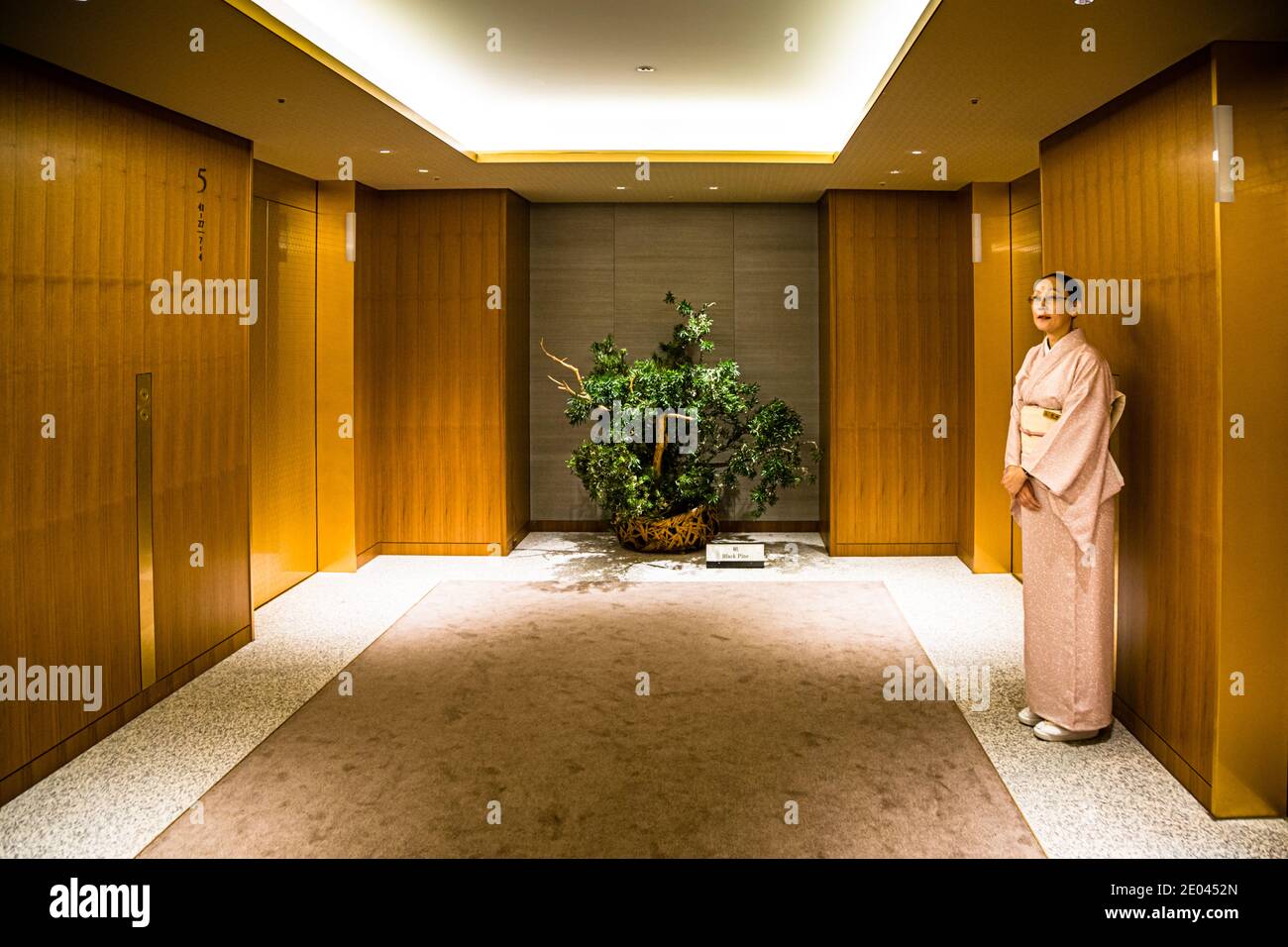 Aufzugsperson des Okura Hotels in Tokio, Minato, Japan. Wächter der Aufzüge - ein Dienst in Kimono, der es seit dem 1960s gibt. Von der Lobby steigen die Aufzüge. Ab der 28. Etage beginnen die Gästezimmer im Okura Prestige Tower Stockfoto