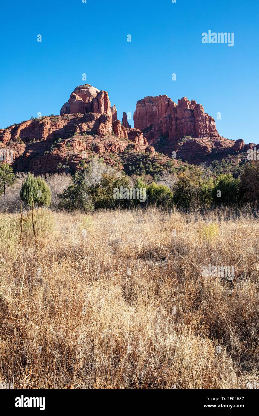 Cathedral Rock und goldenes Gras, Sedona, Arizona, USA Stockfoto