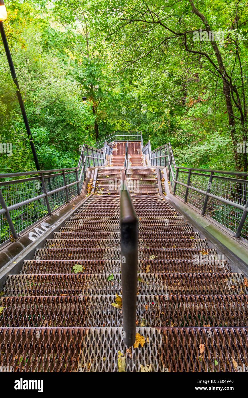Lower West Cliff Falls Niagara Escarpment Dundas Valley Hamilton Ontario Kanada Stockfoto