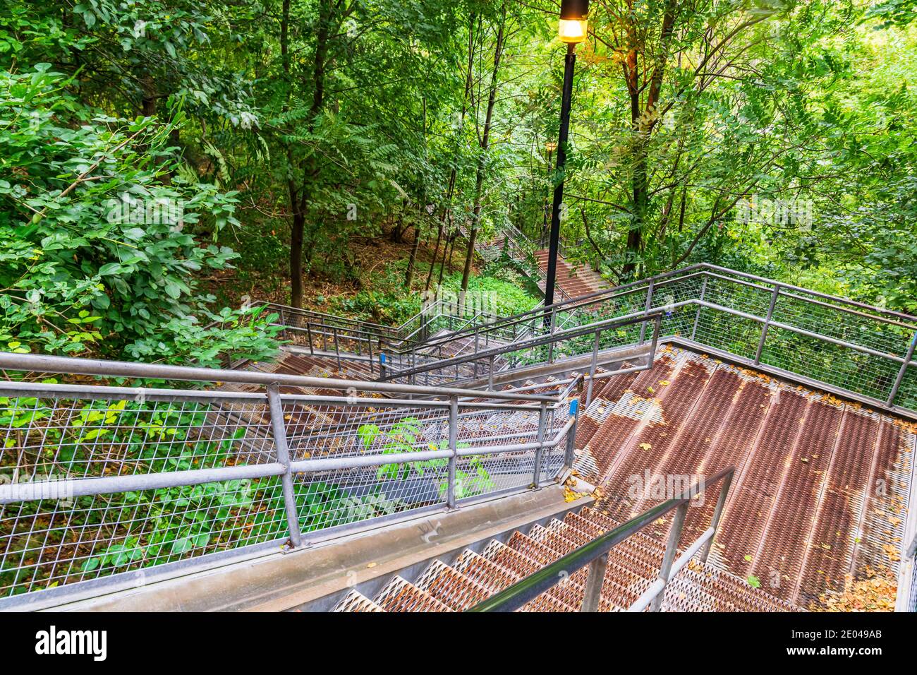 Lower West Cliff Falls Niagara Escarpment Dundas Valley Hamilton Ontario Kanada Stockfoto