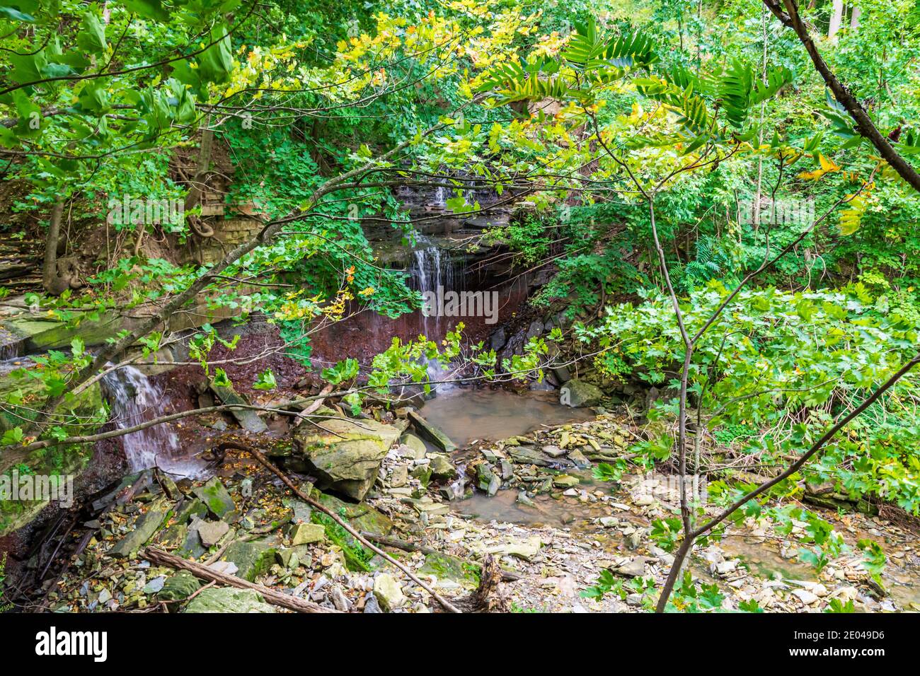 Lower West Cliff Falls Niagara Escarpment Dundas Valley Hamilton Ontario Kanada Stockfoto