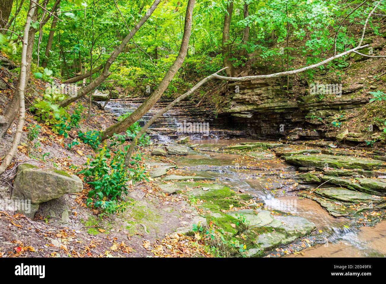 Lower West Cliff Falls Niagara Escarpment Dundas Valley Hamilton Ontario Kanada Stockfoto