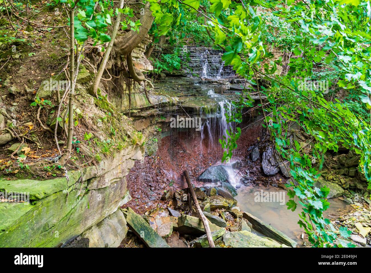 Lower West Cliff Falls Niagara Escarpment Dundas Valley Hamilton Ontario Kanada Stockfoto