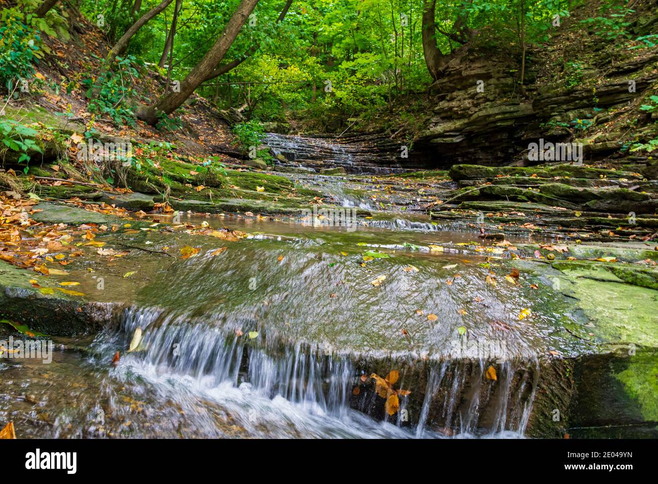 Lower West Cliff Falls Niagara Escarpment Dundas Valley Hamilton Ontario Kanada Stockfoto