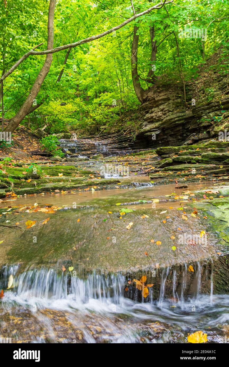Lower West Cliff Falls Niagara Escarpment Dundas Valley Hamilton Ontario Kanada Stockfoto