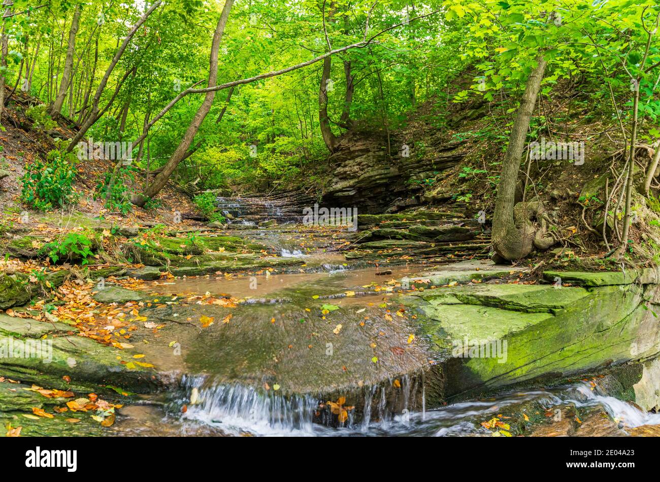 Lower West Cliff Falls Niagara Escarpment Dundas Valley Hamilton Ontario Kanada Stockfoto