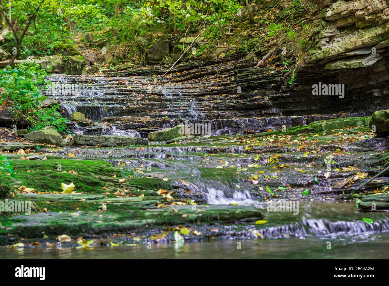 Lower West Cliff Falls Niagara Escarpment Dundas Valley Hamilton Ontario Kanada Stockfoto