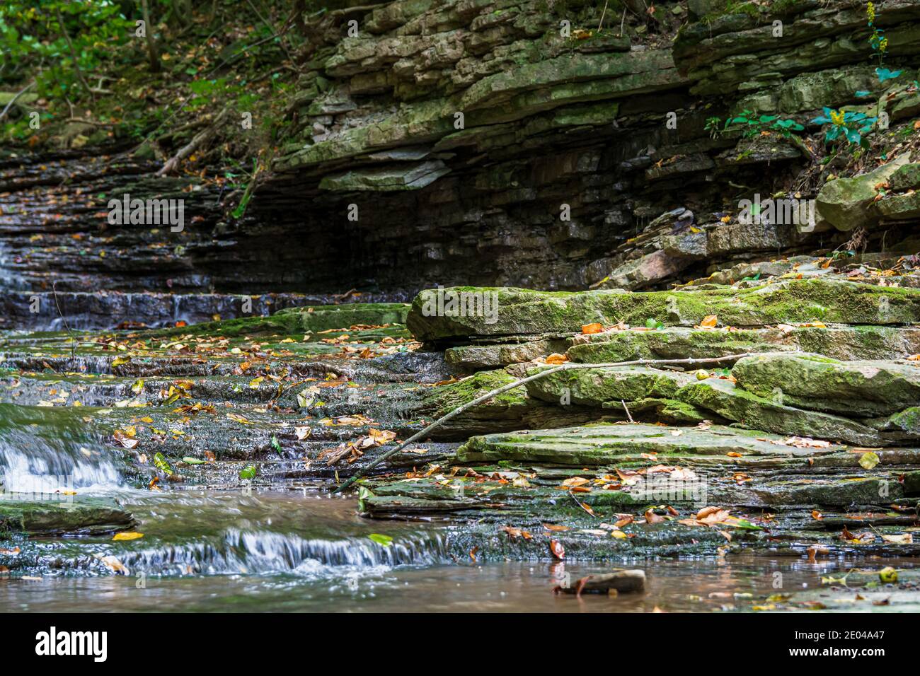 Lower West Cliff Falls Niagara Escarpment Dundas Valley Hamilton Ontario Kanada Stockfoto