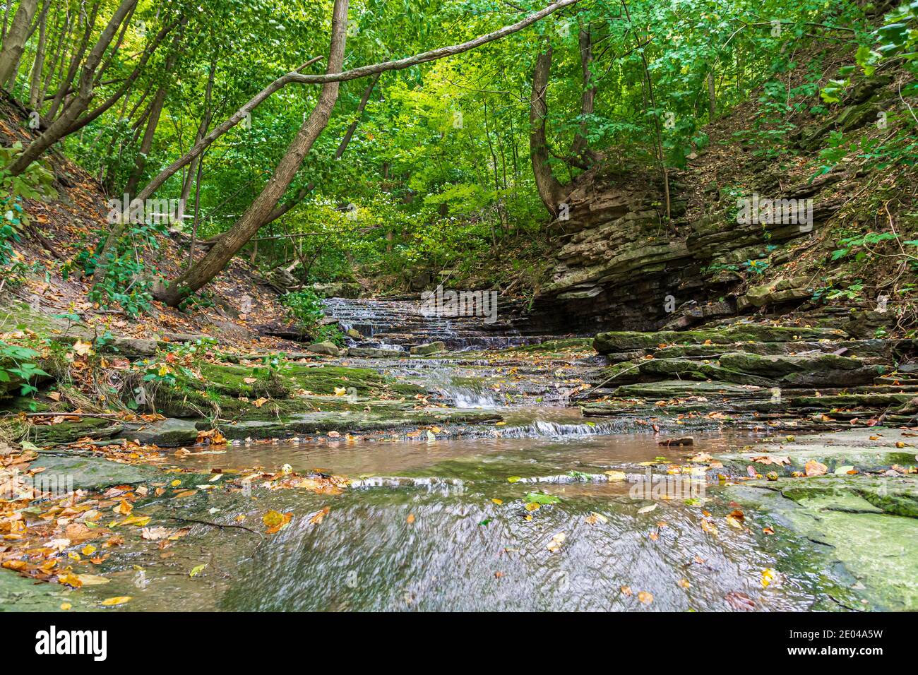 Lower West Cliff Falls Niagara Escarpment Dundas Valley Hamilton Ontario Kanada Stockfoto