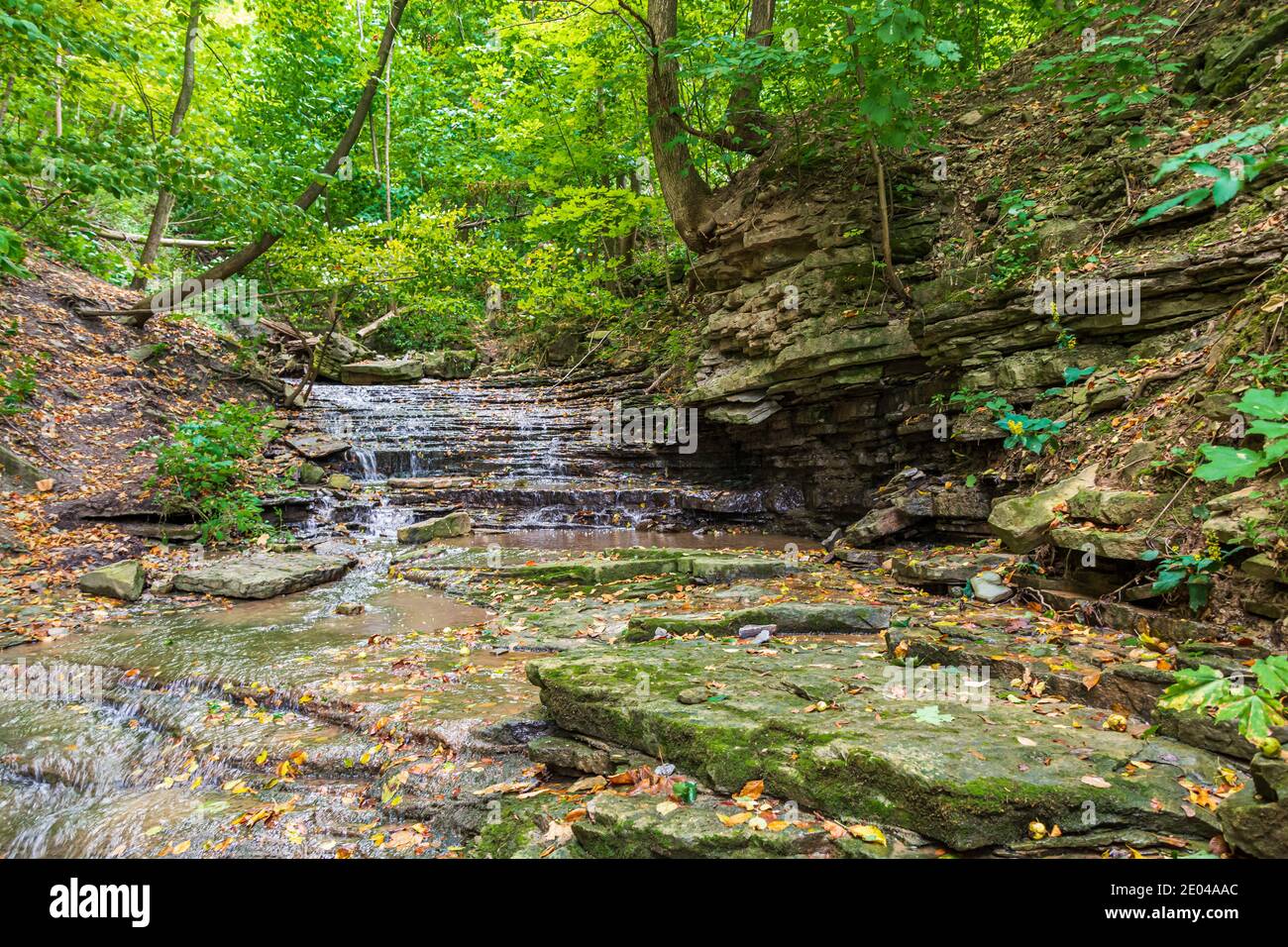 Lower West Cliff Falls Niagara Escarpment Dundas Valley Hamilton Ontario Kanada Stockfoto