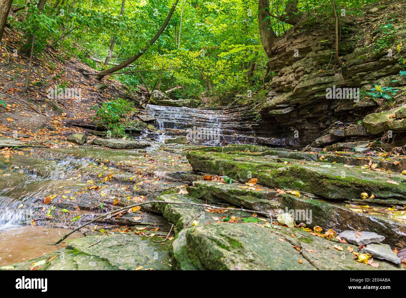 Lower West Cliff Falls Niagara Escarpment Dundas Valley Hamilton Ontario Kanada Stockfoto