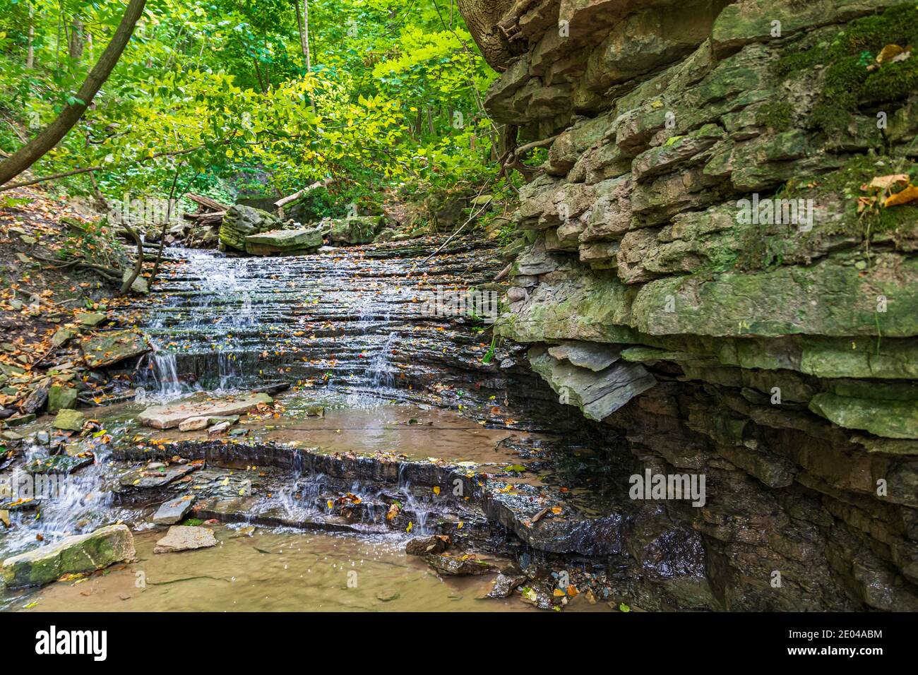 Lower West Cliff Falls Niagara Escarpment Dundas Valley Hamilton Ontario Kanada Stockfoto