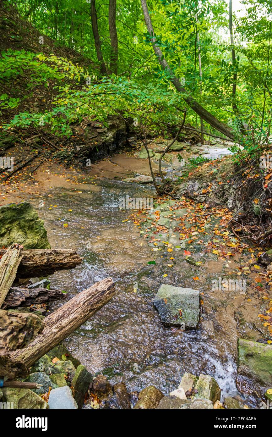 Lower West Cliff Falls Niagara Escarpment Dundas Valley Hamilton Ontario Kanada Stockfoto