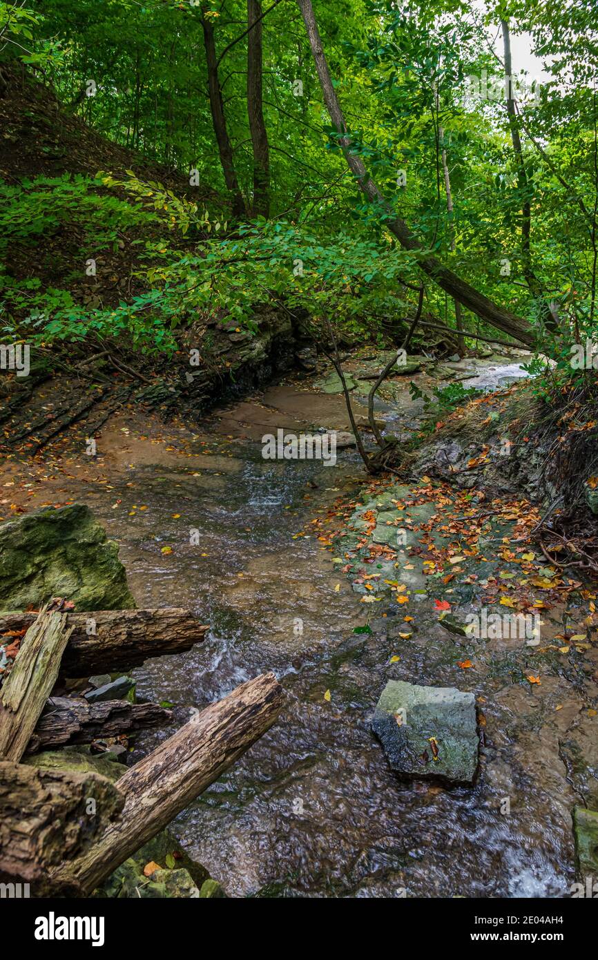 Lower West Cliff Falls Niagara Escarpment Dundas Valley Hamilton Ontario Kanada Stockfoto